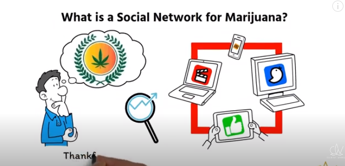 Cannabis Business Social Network: Connecting, Growing, and Thriving